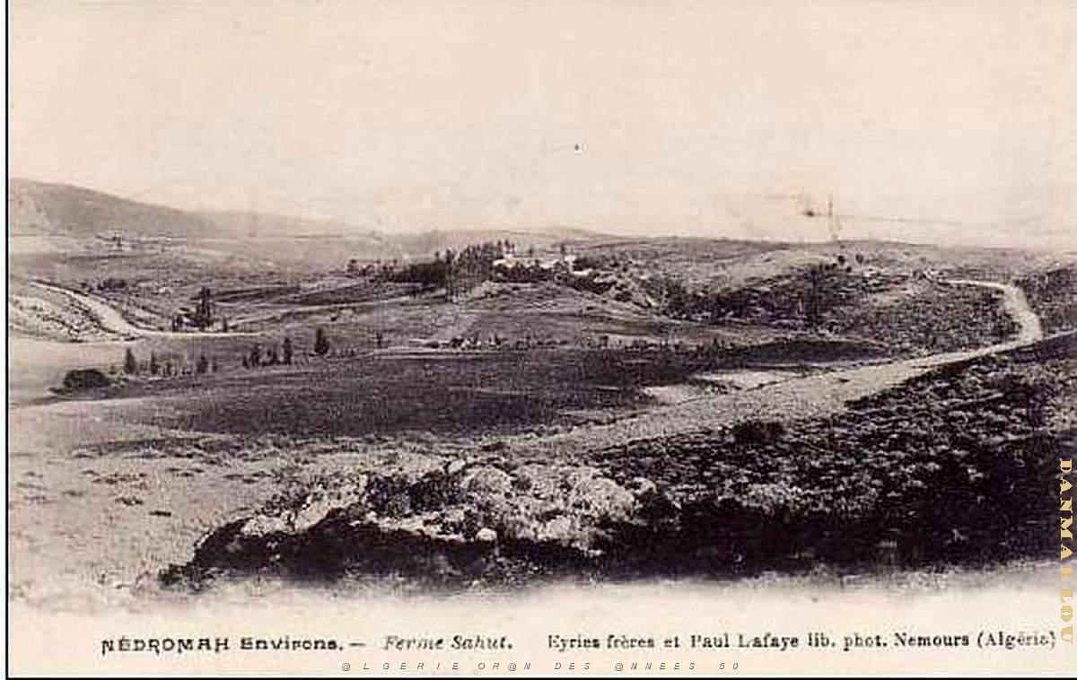 Nedroma 03.jpg